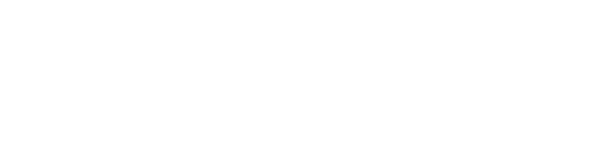 The Holden Group | Marcus & Millichap